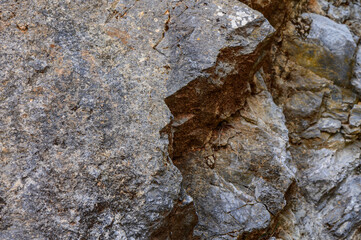 Close-up of rugged rock texture revealing layers and fossils in a natural setting during daylight hours