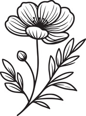 This is an illustration of flowers in a simple and modern line art style.