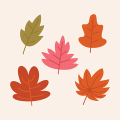 autumn leaves set in flat vector design.