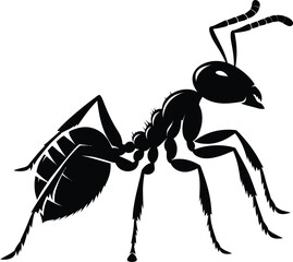 ant on white background vector 