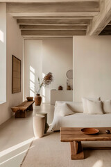 modern minimalist  living room