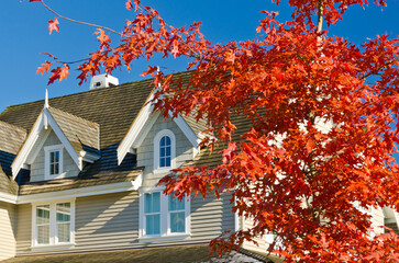 luxury house with garage door, big tree and nice Fall Foliage landscape in Vancouver, Canada