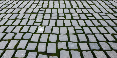 Fototapeta premium An irregular cobblestone texture featuring patches of moss, creating a rustic and natural feel that adds charm to outdoor environments.