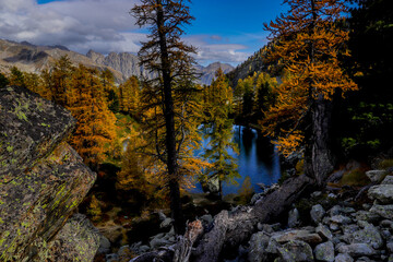 Couleurs automnales en montagne