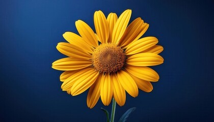 Naklejka premium Vibrant Yellow Sunflower in Full Bloom Against a Deep Blue Background, Showcasing Detailed Petals and a Central Spiral Pattern. Ideal for Nature Concepts, Brightness Themes, or Calm Serenity Imagery