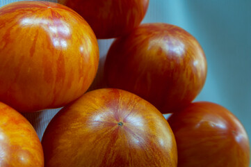 Large organic striped yellow-red tomatoes isolated on blue background, close-up
