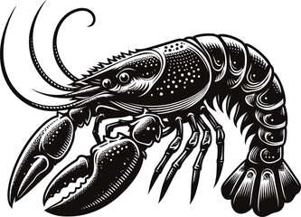 illustration of a lobster