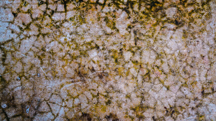 Weathered concrete wall of beige color