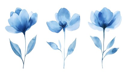 Watercolor blue flowers clip art set, vector illustration, simple and clean, white background