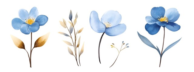 Watercolor blue flowers clip art set, vector illustration, simple and clean, white background