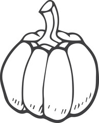 Pumpkin doodle. Hand drawn vegetable. Food icon