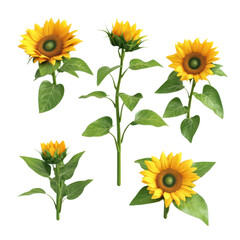 Vibrant Set of Realistic Sunflowers with Bright Yellow Petals Against a Natural Background