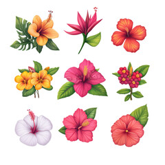 Fototapeta premium Vibrant Set of Tropical Flowers: Hibiscus and Bird of Paradise in Full Bloom