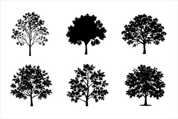 Black silhouettes set of maple leaves Silhouette illustration bundle collection - Autumn fallen leaves of maple