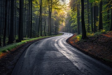 Fototapeta premium Empty asphalt road and green woods at sunset
