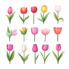 Vibrant Set of Multicolored Tulips: A Celebration of Spring's Beauty and Diversity in Bloom