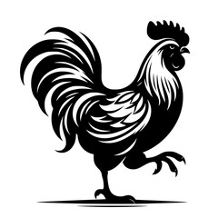 Chicken vector silhouette isolated on white background 