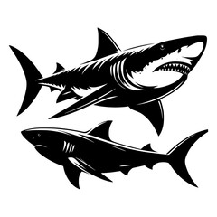 Shark silhouette isolated on white background 