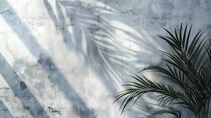 Sunlit scene with shadow of palm leaves on a textured concrete wall. Minimalist style, concept of tranquility and nature