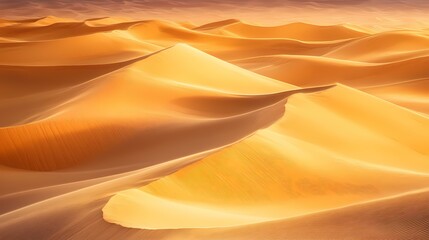 The image is a close-up of a desert landscape, with rippling sand dunes lit by the golden glow of the setting sun.