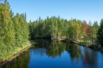Fototapeta premium View of a beautiful lake among the forest in Karelia, Russia. Sunny summer day