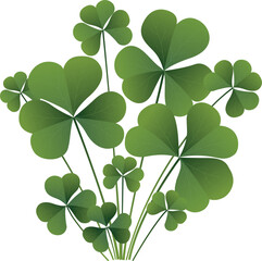 Three-leaf clover, plant Trifolium.