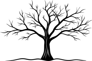 Obraz premium silhouette of tree