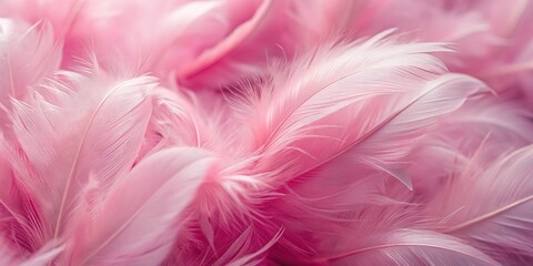 Abstract pink feather background created with close-up
