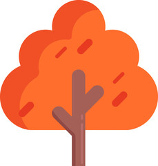 Autumn maple leaf tree branch fall