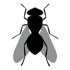 Fly animal silhouette vector image