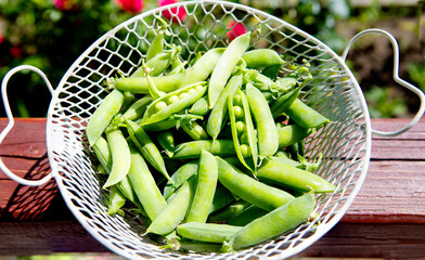 Fresh green peas in a basket.
 This legume contains a large amount of protein and fiber, contains a large amount of vitamins and minerals.