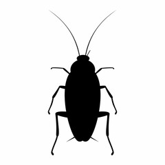 Cockroach animal silhouette. Flat image