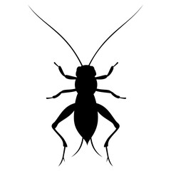 Cricket animal silhouette. Vector image