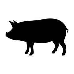 Pig animal silhouette. Flat image