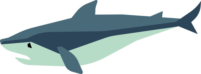 Shark color icon. Natural predator aquatic wildlife