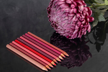 Differential pencils for lips and eyebrows close-up. Cosmetic product.