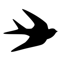 Swallow bird silhouette. Vector image