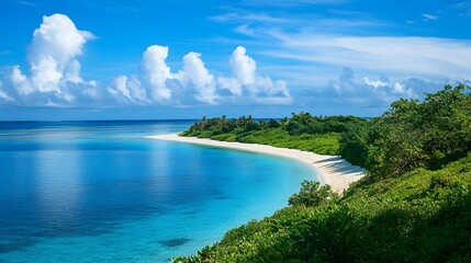 Obraz premium blue see and white sand of the mnemba atoll. 