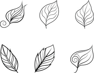 Fototapeta premium Black and White Line Art Leaf Designs