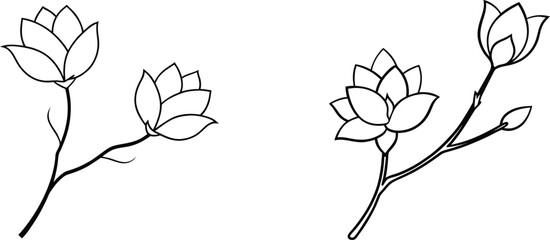 Obraz premium Simple Line Drawing of Magnolia Flower Branch