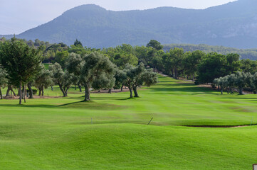 A serene morning on a lush golf course surrounded by majestic mountains and verdant trees under a clear blue sky