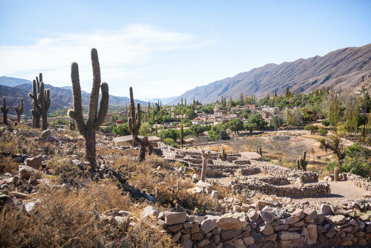 Ruinas de los indios Quilmes, ubicadas en la provincia de tucum&aacute;n al norte de Argentina, donde se pueden apreciar grandes cactus y antiguas construcciones.