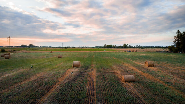 pasajes de los campos de la provincia de buenos aires, argentina, donde se puede apreciar la extensa llanura de la regi&oacute;n pampeana.