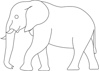 elephant isolated on white background