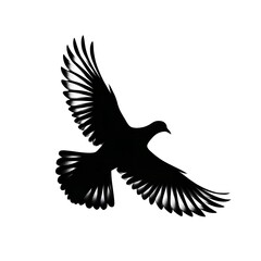 Obraz premium silhouette of flying bird, white background