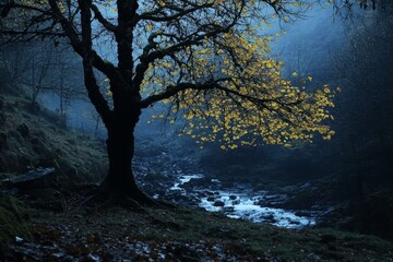 Fototapeta premium A tree with yellow leaves stands near the stream in the dark forest, in the evening, with a blue, foggy light.
