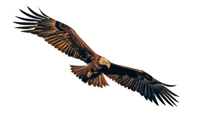 Fototapeta premium Mächtiger Seeadler im Flug, freigestellt vor transparentem Hintergrund, Generative AI