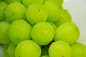 おいしそうなマスカット