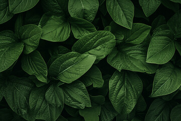 Monotone green leaf impression print.