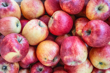 Fresh Red Apples in Abundance Captured at Market Stall
